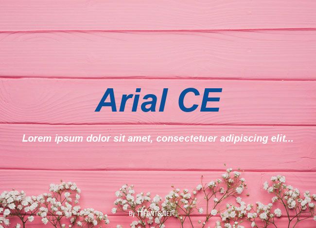 Arial CE example